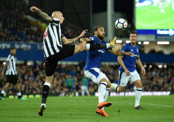 都存在不小 都存在不小